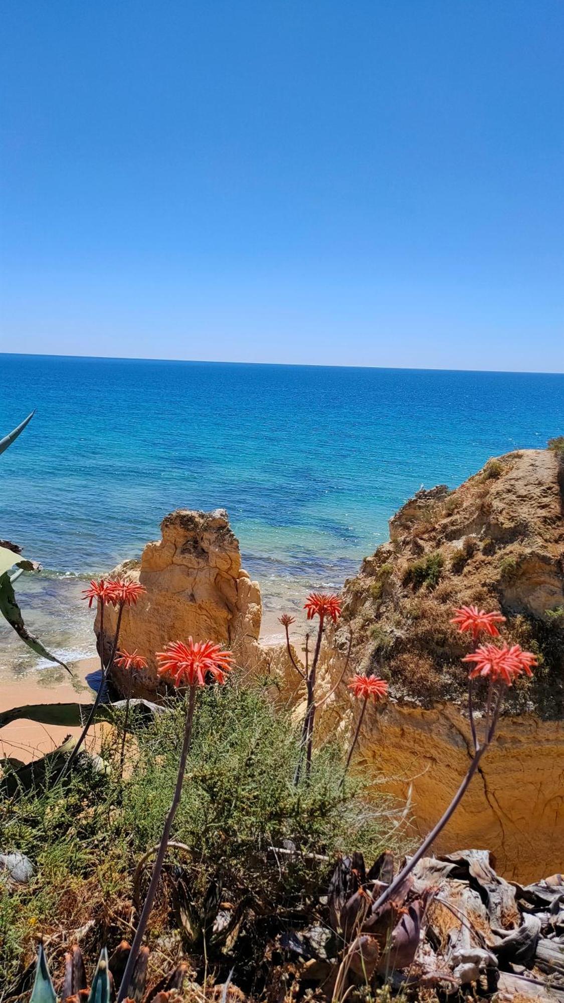 Cantinho Do Sol - Sea View, Quiet, Cozy And Relaxing Flat Armacao de Pera Exterior photo